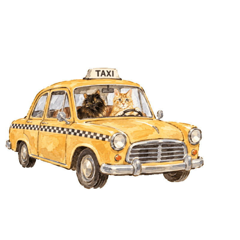 taxi