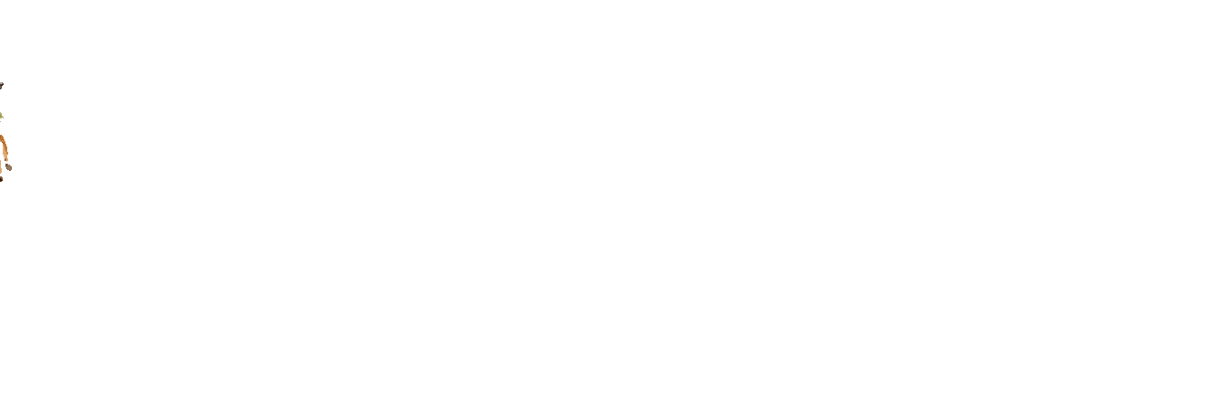 FOOTER (1).gif