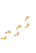 28.png