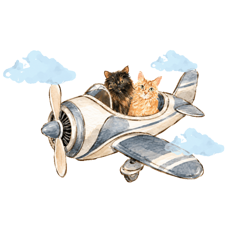 plane