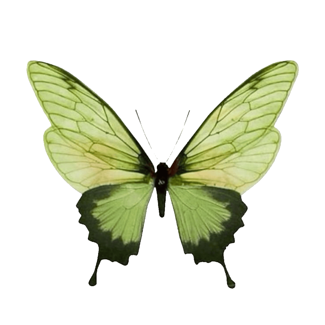 green.gif