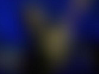 Thathi no Festival da Primavera