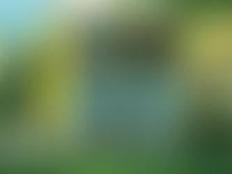 Ponen en oferta armas por regreso a clases en Texas