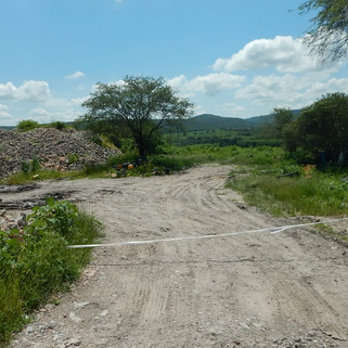 Clausura banco de material geológico en Jalisco por operar de manera irregular