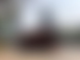 Inicia operaciones la línea 7 del metrobús