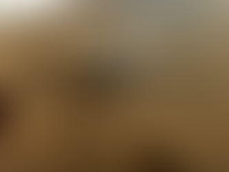 Perseverance desvela más datos del pasado de Marte