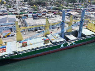 Hutchison Ports TIMSA refuerza su capacidad en Manzanillo con grúas eléctricas de alta tecnología