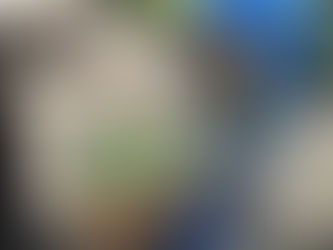 Exposición en Reforma busca generar conciencia sobre cuidado del agua