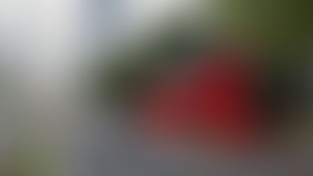 Comienzan pruebas gratuitas en la linea 7 del Metrobús