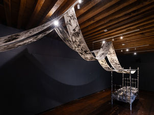 La veracruzana Elisa Malo expone Rumores de la noche en el Museo Casa Diego Rivera