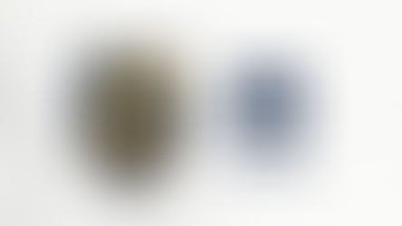 ¡Pumas celebra su 65 aniversario!