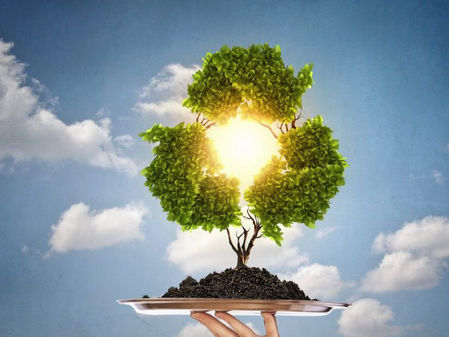 ANIPAC intensifica compromiso ambiental