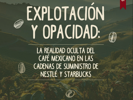 Nestlé bajo la lupa por explotación en el café mexicano