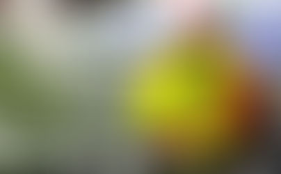 Así se jugara la Jornada 11 del Fútbol mexicano