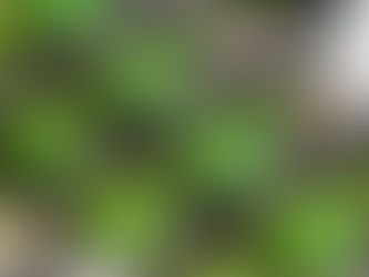 México abrirá nacionalizada explotación de litio a inversionistas privados