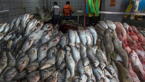 Suspenden 10 comercios por vender producto en mal estado