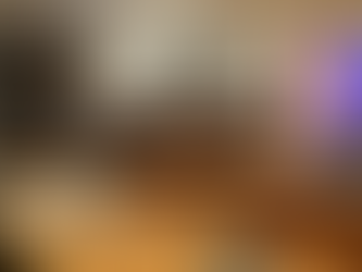 Participa México en el Foro de las Principales Economías sobre Energía y Cambio Climático