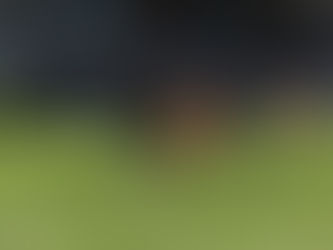 Piratas de Veracruz golea 3-0 a Tepatitlán FC