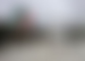 Expatriados reportan mayor sensación de seguridad en México de la que preveían antes de mudarse