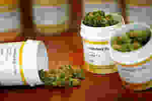 Cannabis en uso médico
