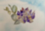 LOTUS IN THE SKY