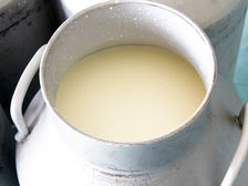 Why Whole Fat Milk is Better!