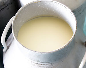 Leche fresca de vaca