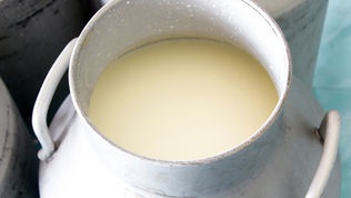 The Super food Colostrum!