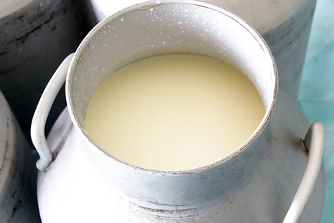 Fresh Cow Milk