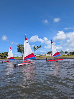 PXL_20250709_002919091.jpg
