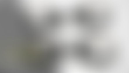 IWA 2022: ASP (ARMAMENT SYSTEMSAND PROCEDURES)