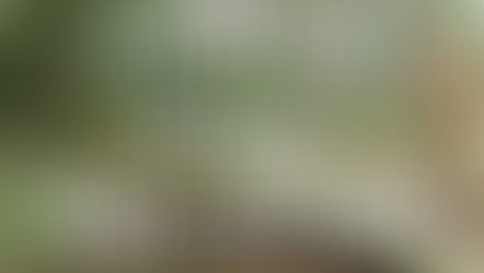 SURVIVAL GUIDE: TARP SETUPS