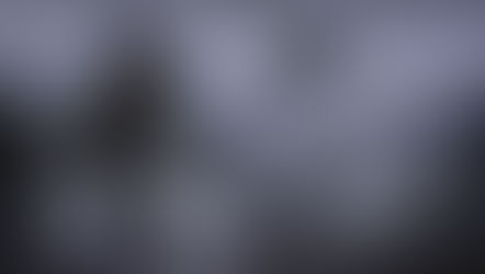 Die neue Tasmanian Tiger 2024 Kollektion ist da!