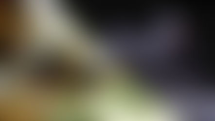 SIGHTMARK CORE SHOT A-SPEC FMS & LQD