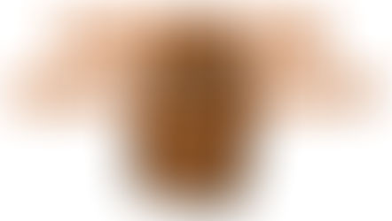 CARINTHIA SURVIVAL RAINSUIT JACKET MOD