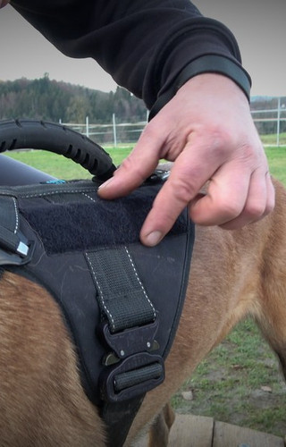 TECDOX GEAR EINSATZHALSBAND, ARBEITSLEINE UND GESCHIRR MIT HALTEGRIFF
