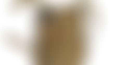 SHAW CONCEPTS CARRIER