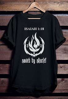 Original shirt (back).png