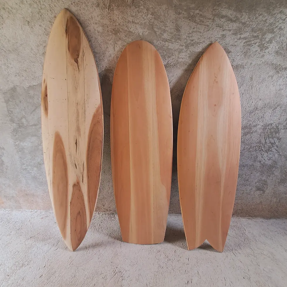 surfboards at hostel troncones mexico