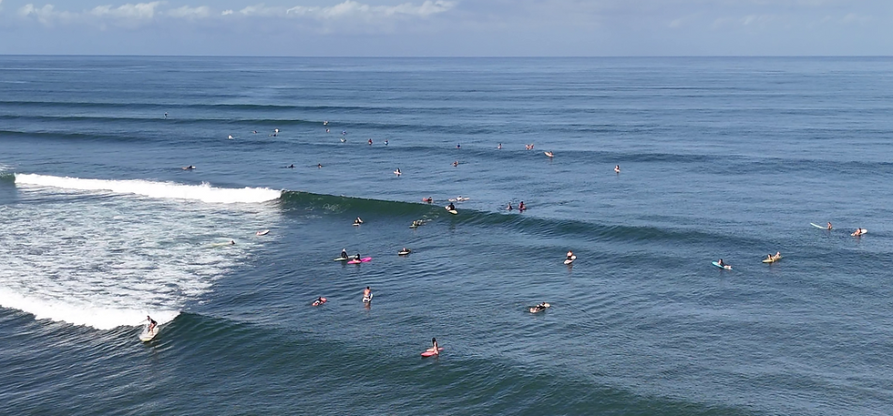 crowded tropical surf lineup