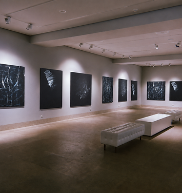 TOVA_ARTIST_PERSONAL EXHIBITION2025.png