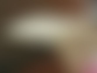 Emulating a Professional Photographer