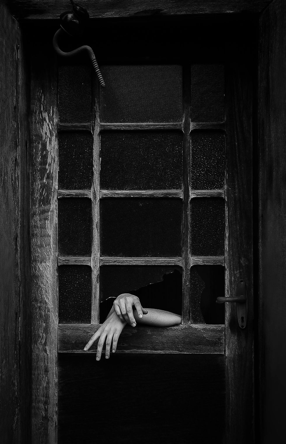 Critiquing Photo Challenge