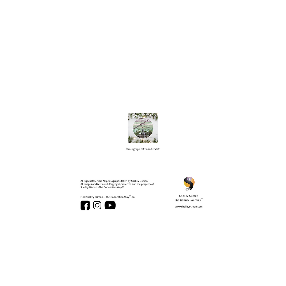 Thumbnail: ROBIN REDBREAST CHRISTMAS CARDS  by Shelley Osman