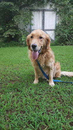 20840359_10213195694902942_782004354_n