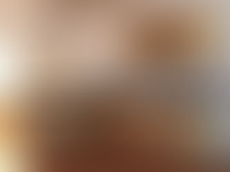 Best Built In Kitchen Cupboards