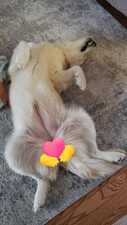 333838227_235026612254210_3472657541451287047_n