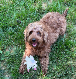 348364940_798534184972350_8048455391639232903_n