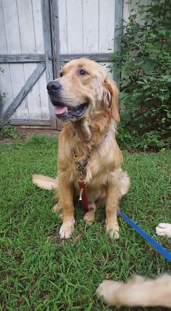 20839227_10213195704383179_1836697860_n