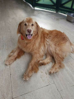 received_481087969623539